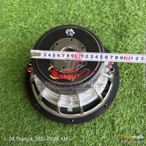 Bass 25 chuyên sub Soway Thái Lan, từ đôi 156 coil đôi 60, 4ohm