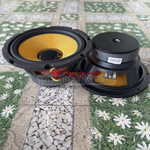 Bass 20 từ 120 coil 35 