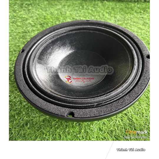 Loa neo khối 25 B&C, coil 76, mũi lõm, màng bóng