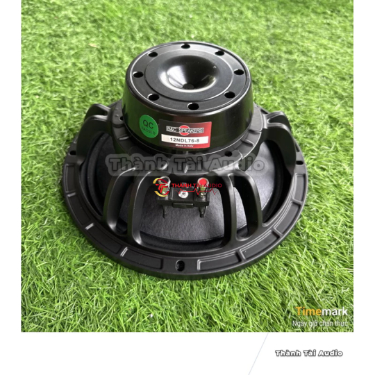 Loa neo khối 25 B&C, coil 76, mũi lõm, màng bóng