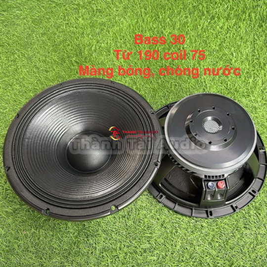 Bass 30 mẫu RCF từ 190 coil 75, đít lồi, màng 3 vân