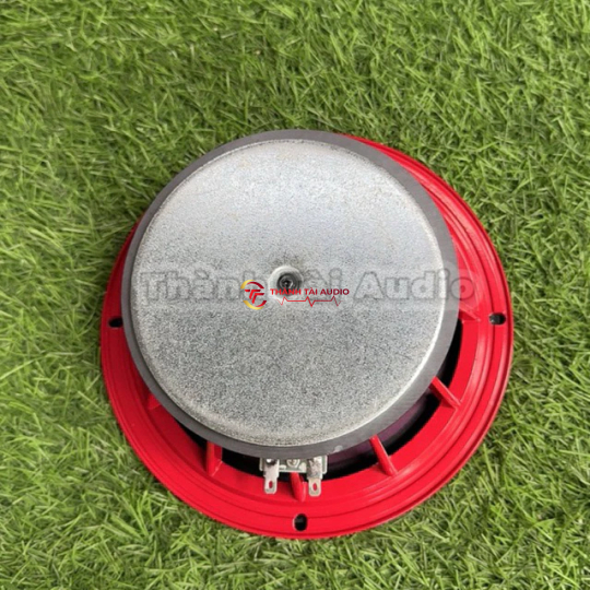 bass thái 20 (bass Thái) từ 140 coil 51 hàng nhập khẩu