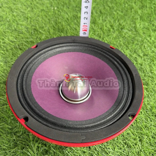 bass thái 20 (bass Thái) từ 140 coil 51 hàng nhập khẩu