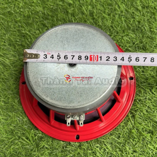 bass thái 20 (bass Thái) từ 140 coil 51 hàng nhập khẩu
