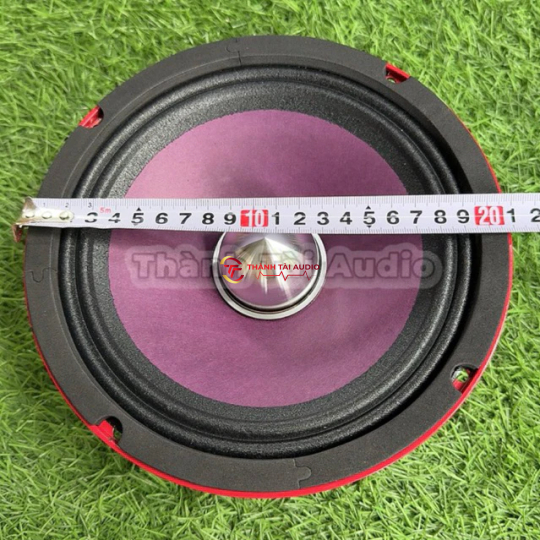 bass thái 20 (bass Thái) từ 140 coil 51 hàng nhập khẩu
