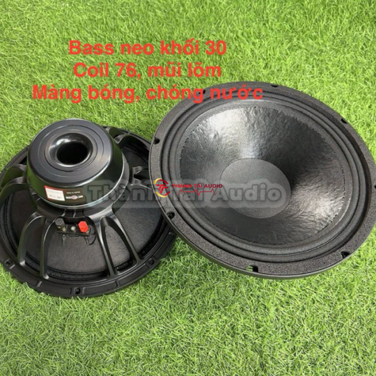 Bass neo khối 30 mẫu B&C coil 76, mũi lõm, hàng nhập khẩu 