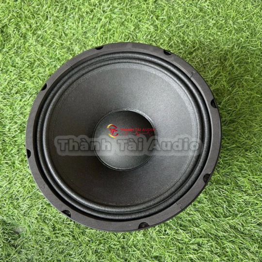 loa 25 mẫu martin từ 170 coil 65, màng chống nước 