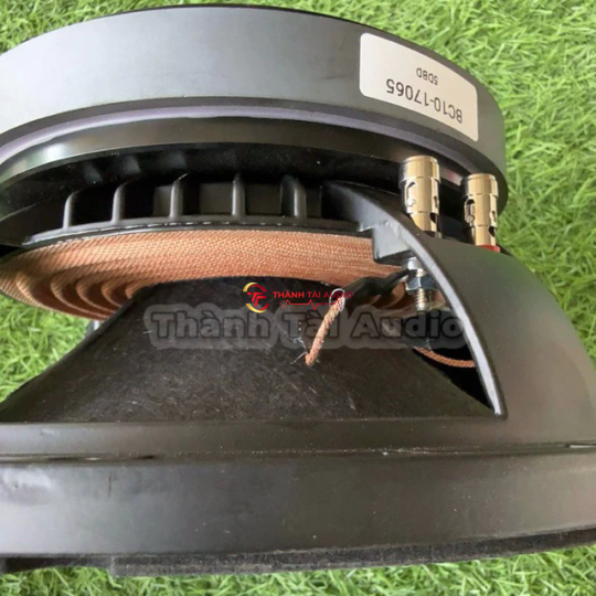 loa 25 mẫu martin từ 170 coil 65, màng chống nước 