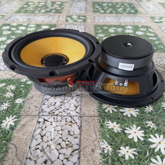 Bass 20 từ 120 coil 35 