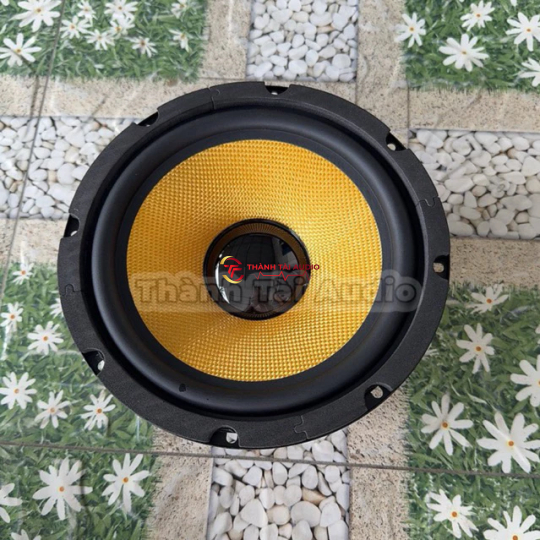 Bass 20 từ 120 coil 35 