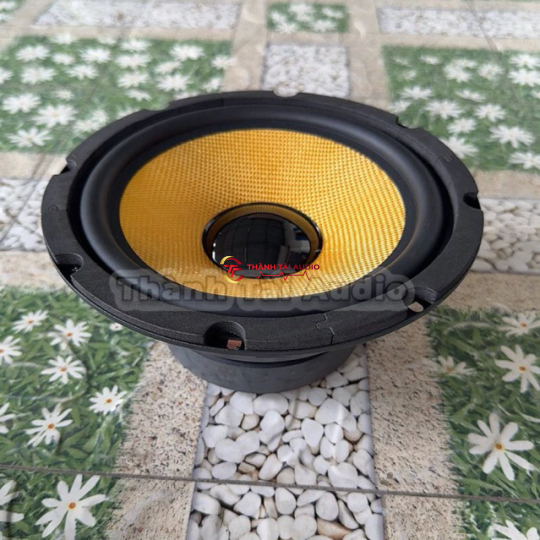 Bass 20 từ 120 coil 35 