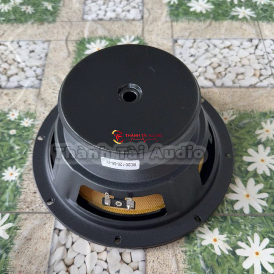 Bass 20 từ 120 coil 35 