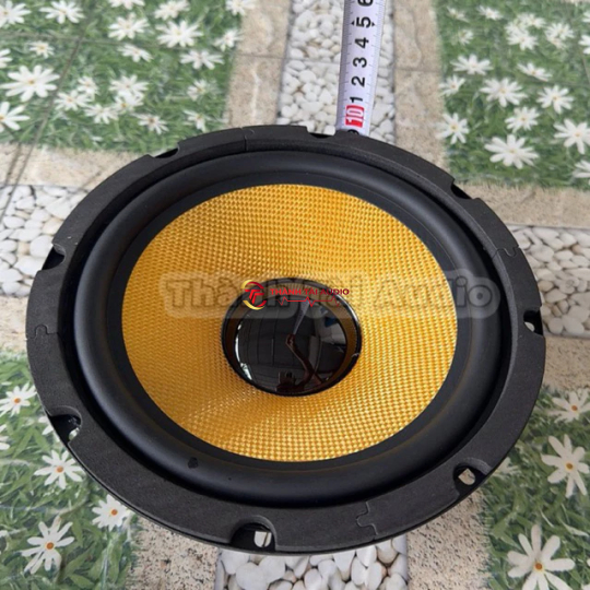 Bass 20 từ 120 coil 35 