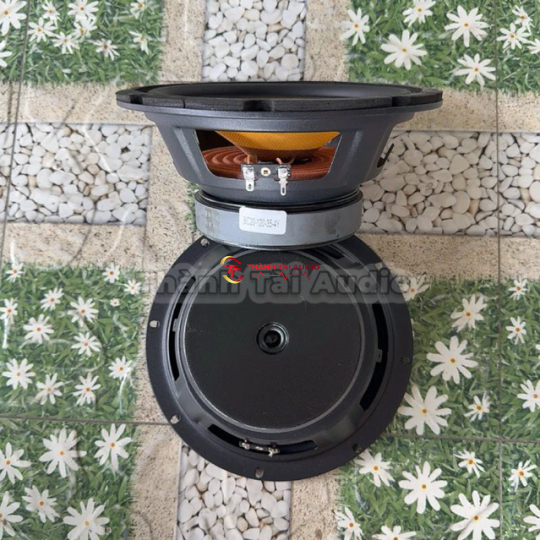 Bass 20 từ 120 coil 35 