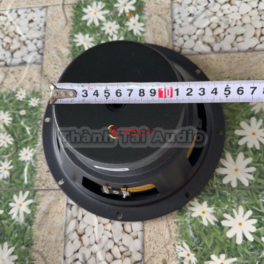 Bass 20 từ 120 coil 35 