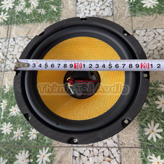 Bass 20 từ 120 coil 35 