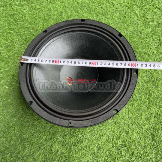 Bass neo khối 30 mẫu B&C mũi lõm