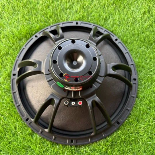 bass 40 neo khối xương cá mẫu B&C coil 76 nhập khẩu