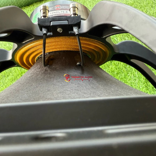 bass 40 neo khối xương cá mẫu B&C coil 76 nhập khẩu