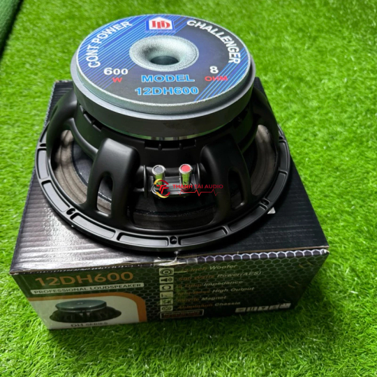 Bass 30 12Dh600 từ 190 coil 76 nhập khẩu