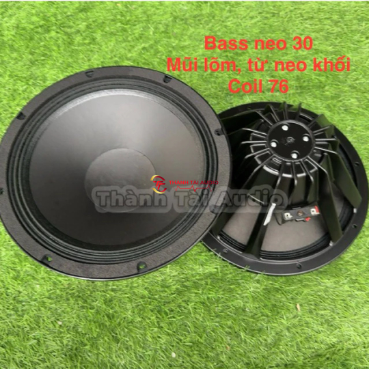 Loa bass 30 neo khối, mũi lõm, coil 76