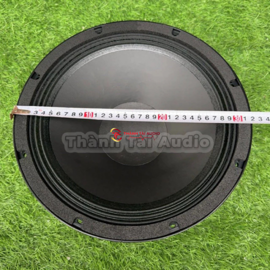 Loa bass 30 neo khối, mũi lõm, coil 76