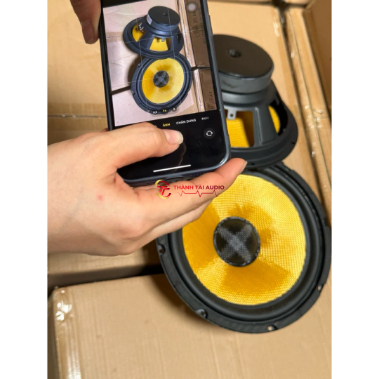 bass 25 sườn sắt từ 120, coil 38, màng cacbon