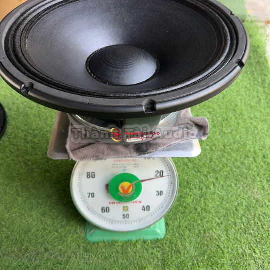 Loa bass 50, mẫu RCF từ 250 coil 125