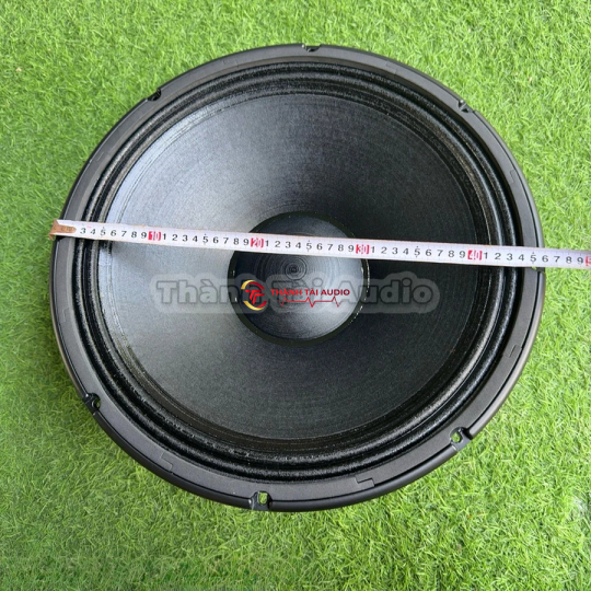 Loa bass 50, mẫu RCF từ 250 coil 125