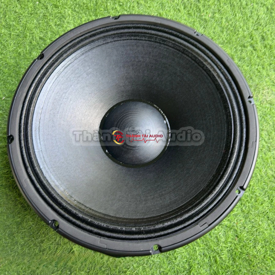 Loa bass 50, mẫu RCF từ 250 coil 125